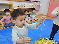 콩나물로 놀아요^..