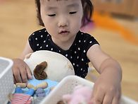 8월 10일(월) 다양한 동물..