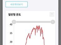2026 국화분재 암..