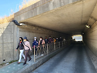 183차 삼락생태공원