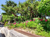 한옥마을 산책 2..