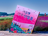 나리농원