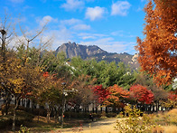 창포원