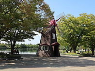 일산호수국화축제