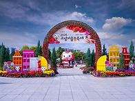 일산 호수공원 가을 꽃 축..