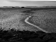 탄도항 누에섬 출사