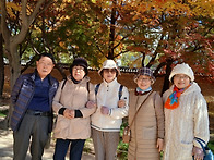 창경궁 정모 25...