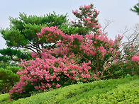 옛 이야기 3