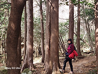 제346영암 월출산