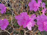 성경- 성경은 어떤 책인가..