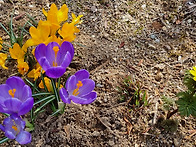 성경- 성경은 어떤 책인가..