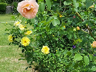 말씀의 본질과 그 능력 &