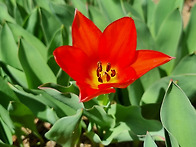 성경- 성경은 어떤 책인가..