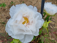 예수 그리스도의 사역 &#