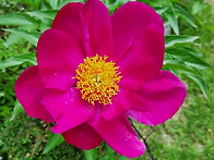 예수 그리스도의 사역 &#