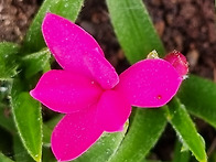 예수 그리스도의 사역 &#