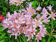 예수 그리스도의 사역 &#