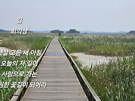 길