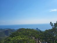 기마봉 & 바다부채길은 꽃..