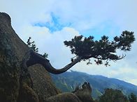 참 좋은 산