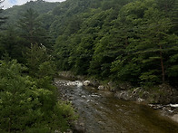 바람 불어 좋은날 어성전 ..