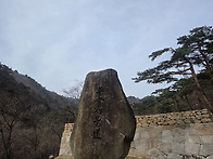 봄꽃보러 갔다가 행군하고..