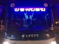 광양매화축제♥