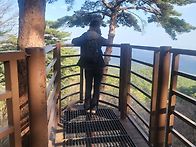 대관령 소나무숲길에서