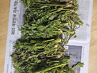 20260419금남정맥 2구간..