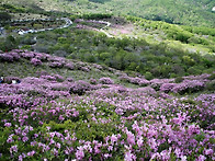 황매산