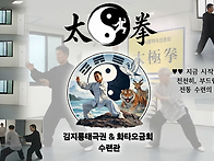 김지룡태극권 & ..