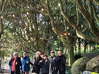 제주도 샛별오름~