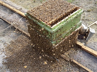 벌통들을 가까운곳..