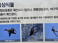 송지호 바다하늘길