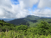 6월,지리산 노고단