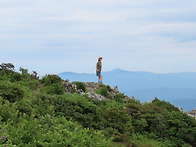덕유산 야생화탐방2