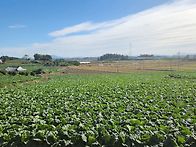 서해랑길15~16구간 .20..