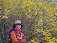 서해랑103코스.교동도 2..