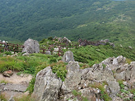 덕유산 야생화탐방1