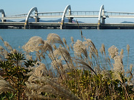 서해랑길 15-16코스 사진..