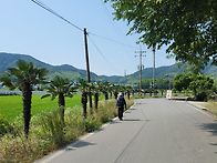 07/10(목)[거제] 남파랑길..