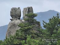 동서트레9