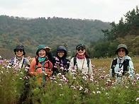 서해랑길 14코스 사진기-..