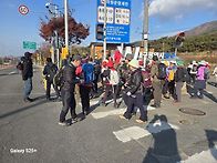 25/11/20/목욜[대구시]팔..