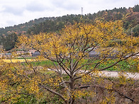 서해랑길15-14코스(해남구..