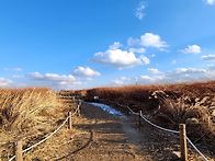 한겨울의 하늘공원