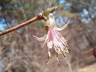 2026년 3월 10일 - 그래..