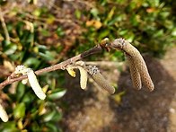 2025.12.14. 둘레길 구례..