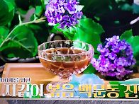 폐건강에 볶음맥문동차의 ..