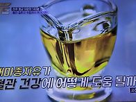 히든카드 대마종자유 오메..